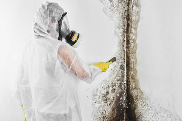 Best Mold Testing  in Russell, KS