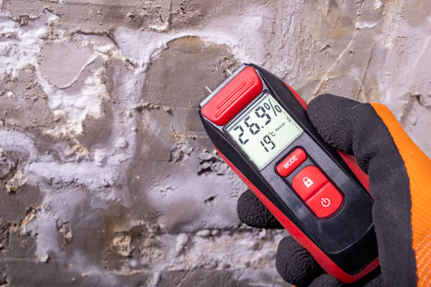 Best Mold Removal Company Near Me  in Russell, KS