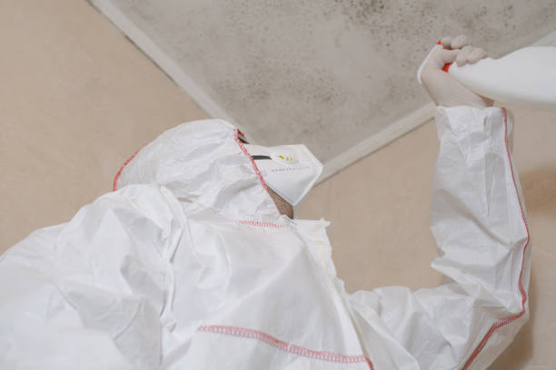 Best Mold Damage Repair  in Russell, KS