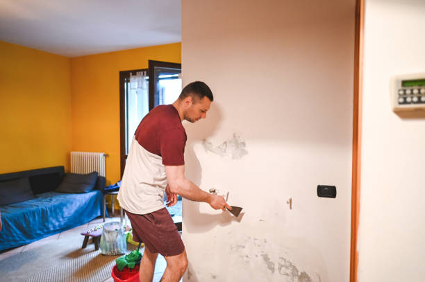 Best Residential Mold Removal  in Russell, KS