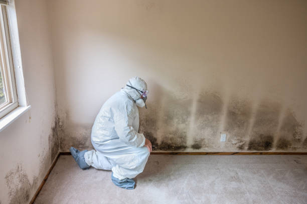Best Emergency Mold Removal  in Russell, KS