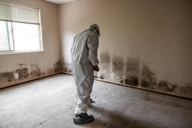 Best Certified Mold Removal  in Russell, KS