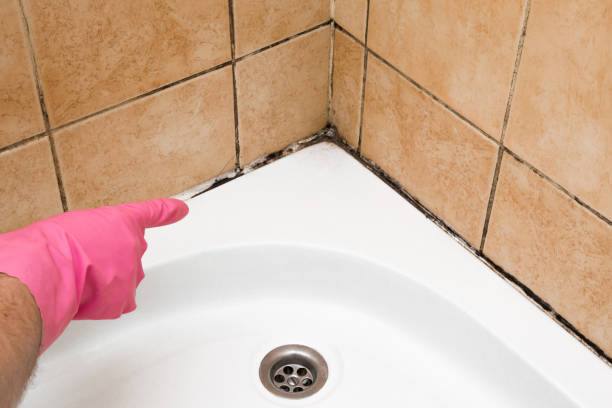 Mold Removal and Inspection in Russell, KS